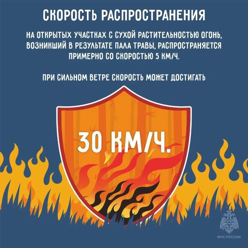 Пал сухой травы: опасность, которую можно избежать! Пал сухой травы: опасность, которую можно избежать!