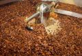 Самая утренняя картина в #ИИскусство — зёрна, которые перемалывает на своем заводе «Липецкая кофейная компания»