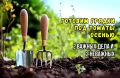 Осенняя подготовка почвы для томатов: ключевые советы