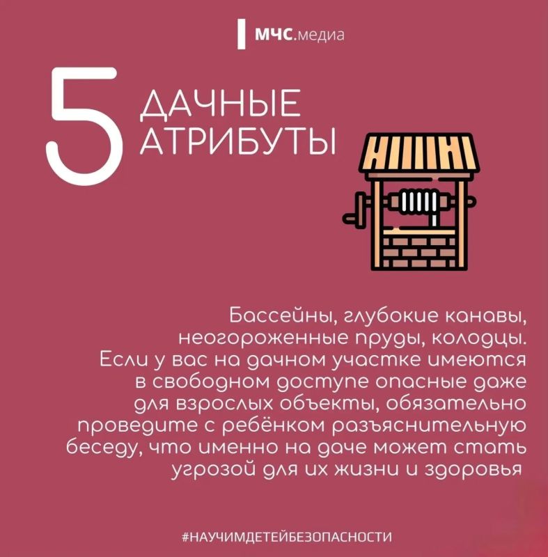 Причины летних «потеряшек» Причины летних «потеряшек»