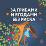Самое время отправляться в лес за грибами и ягодами