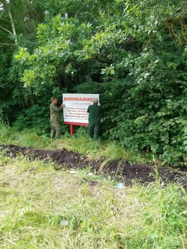 10 000 км минерализованных полос в лесах ЛО в полном порядке 10 000 км минерализованных полос в лесах ЛО в полном порядке