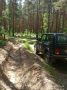 10 000 км минерализованных полос в лесах ЛО в полном порядке