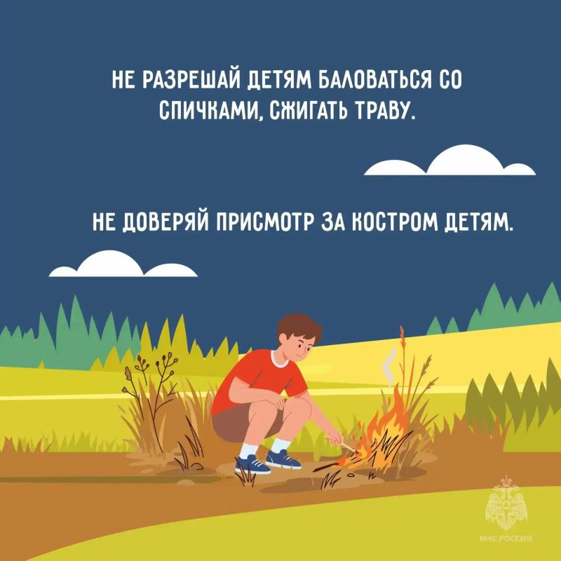 Лето без пожаров: простые правила безопасности Лето без пожаров: простые правила безопасности