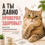 ����� ������ �� �����, �������� �������� ����� ����� �������� �� �����