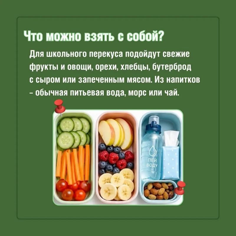 Какой перекус лучше всего взять с собой в школу Какой перекус лучше всего взять с собой в школу