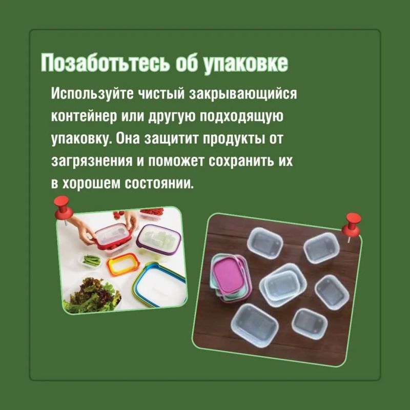 Какой перекус лучше всего взять с собой в школу Какой перекус лучше всего взять с собой в школу