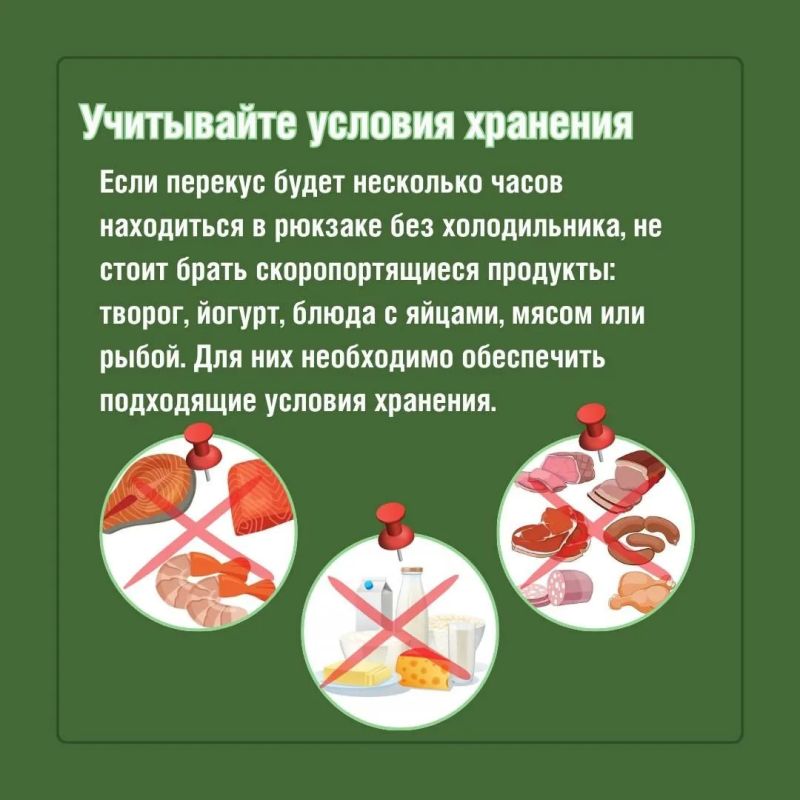 Какой перекус лучше всего взять с собой в школу Какой перекус лучше всего взять с собой в школу