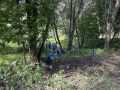 В Липецке прошел масштабный субботник в Каменном логу