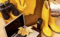 Сотруднице липецкого ПВЗ грозит 10 лет за мошенничество на 2,4 млн руб