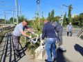 В Липецке начались осенние субботники