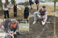 Депутаты облсовета: План благоустройства территорий определяем вместе с жителями