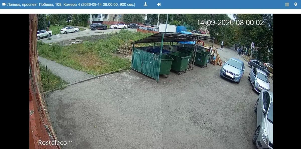 Такой фотосессии мало кто будет рад Такой фотосессии мало кто будет рад