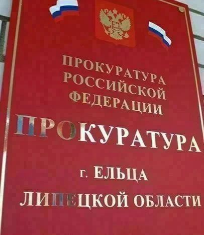 Прокуратура Ельца защитила права ребенка