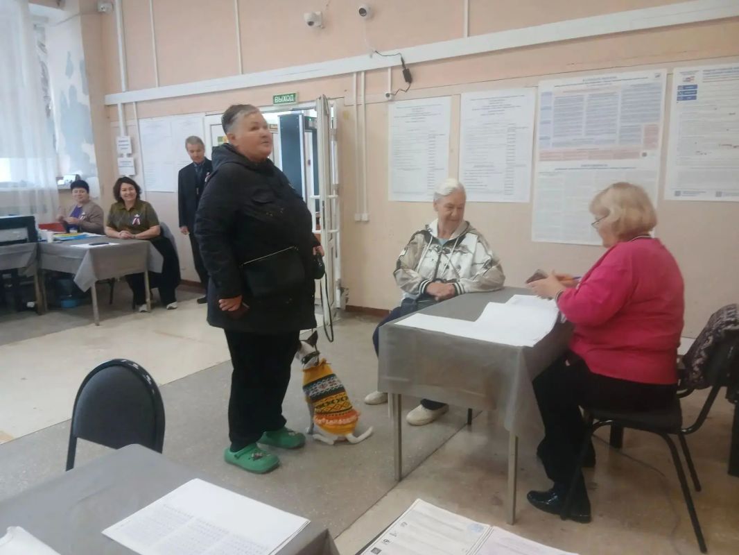 Энджи в модном свитере в Добринке покрасовался на избирательном участке Энджи в модном свитере в Добринке покрасовался на избирательном участке