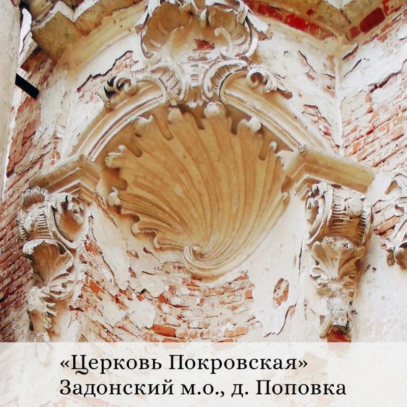 Огромные ракушки – рокайли – можно увидеть в задонском селе Поповка