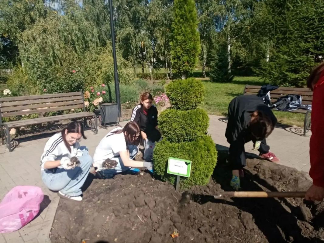 Хвойный снеговик теперь растёт в чистоте, рыбки плавают без мусора, а дорога до школы не завалена листьями Хвойный снеговик теперь растёт в чистоте, рыбки плавают без мусора, а дорога до школы не завалена листьями