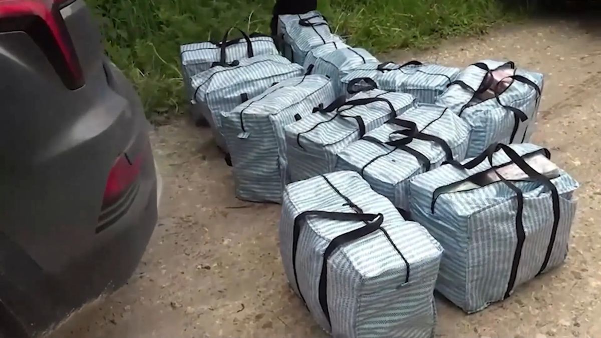 Огромную партию кокаина с фото Зеленского нашли в машине с липецкими номерами Огромную партию кокаина с фото Зеленского нашли в машине с липецкими номерами