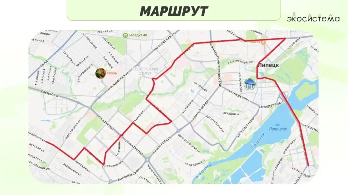 Полюбившийся липчанам «Зеленый автобус» вновь совершит заезд 26 сентября Полюбившийся липчанам «Зеленый автобус» вновь совершит заезд 26 сентября