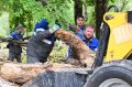 В Ельце прошёл городской субботник