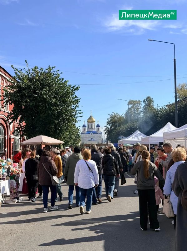 В Ельце стартовал фестиваль «Антоновские яблоки» В Ельце стартовал фестиваль «Антоновские яблоки»