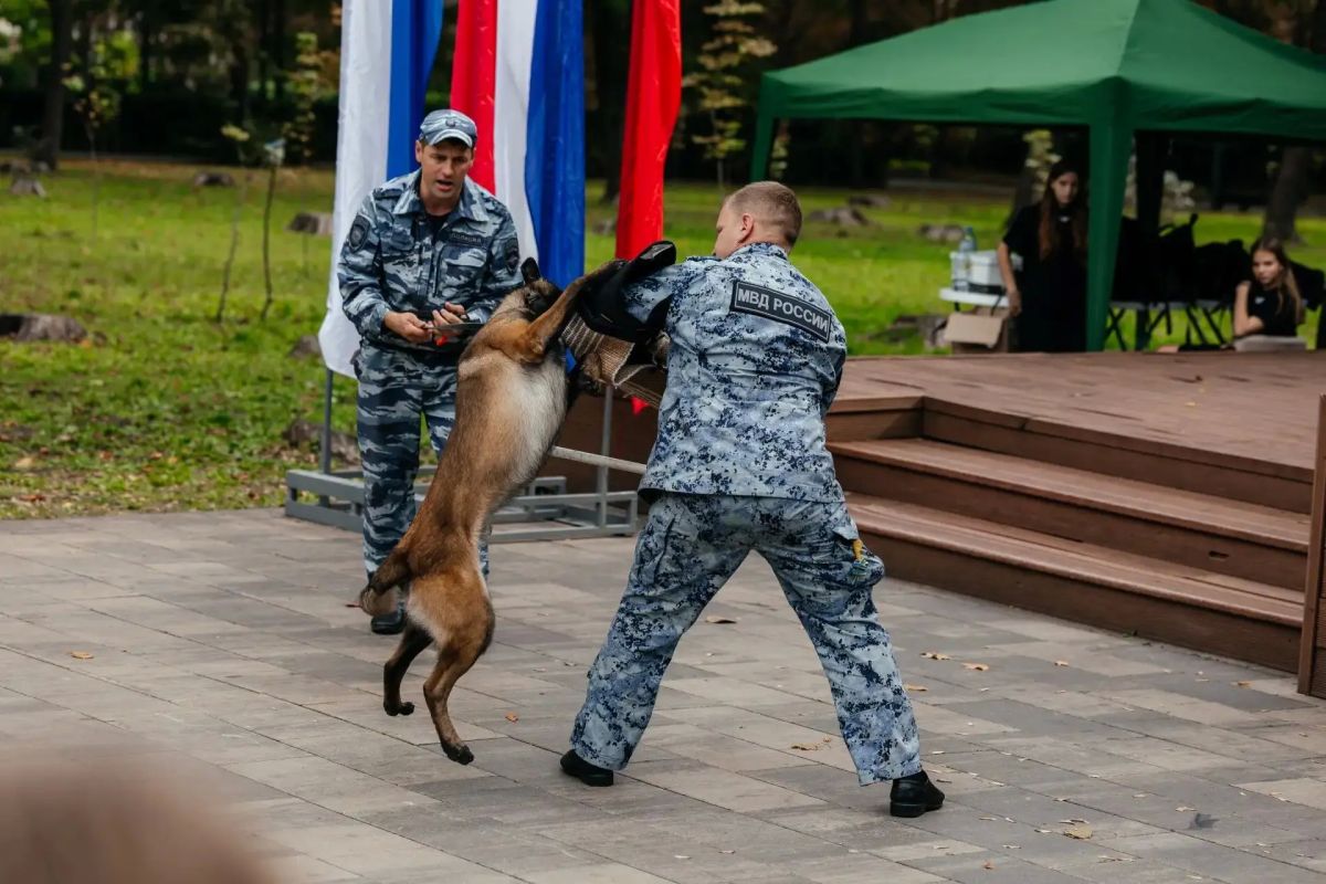 «Явь» и «Правь» – это что-то на старославянском «Явь» и «Правь» – это что-то на старославянском