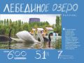 Лебединое озеро НЛМК в Быхановом саду