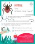 Спасатели Липецка рассказали, как защититься от укусов клещей