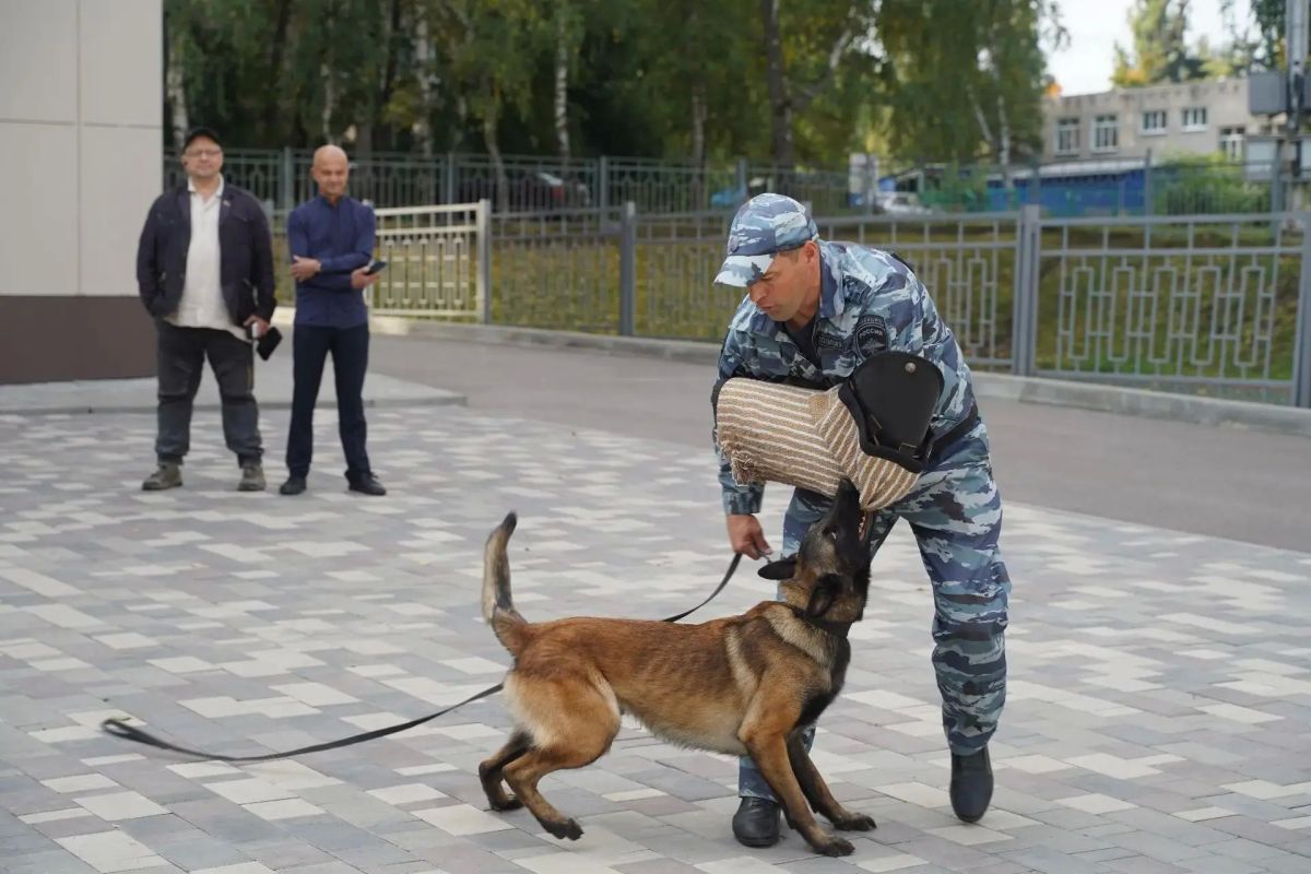 Четвероногие полицейские пришли в гимназию №1 Липецка Четвероногие полицейские пришли в гимназию №1 Липецка