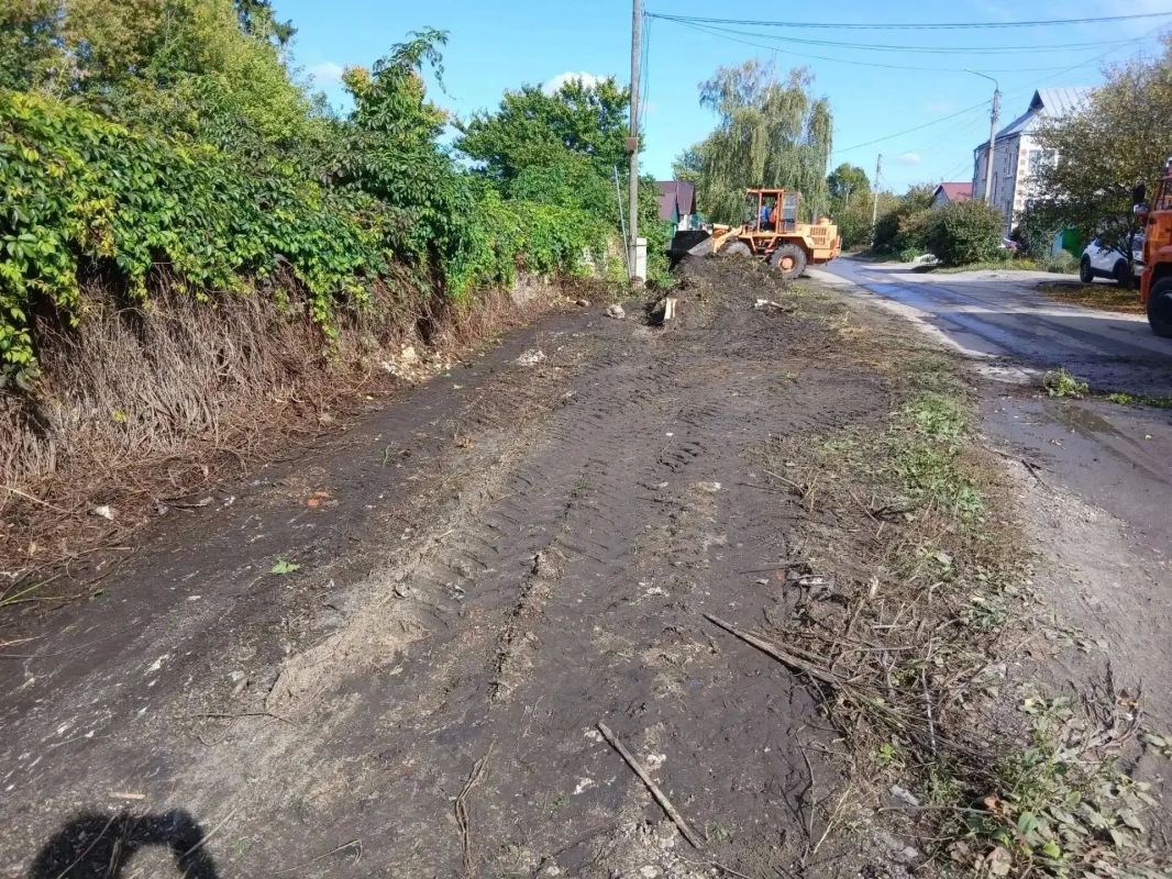 Расползся Девичий виноград в Ельце по тротуару на улице Пожарской так, что пешеходам приходилось идти по проезжей части Расползся Девичий виноград в Ельце по тротуару на улице Пожарской так, что пешеходам приходилось идти по проезжей части