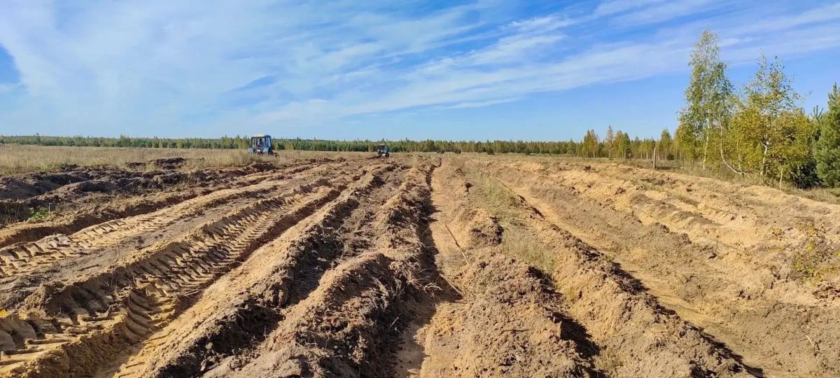 Фотосинтезировать на максималках будет особенный лес в Добровском округе