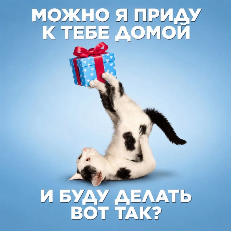 Фестиваль автозвука и автотехники состоится уже завтра, но о ПОДАРКАХ нужно подумать уже сегодня