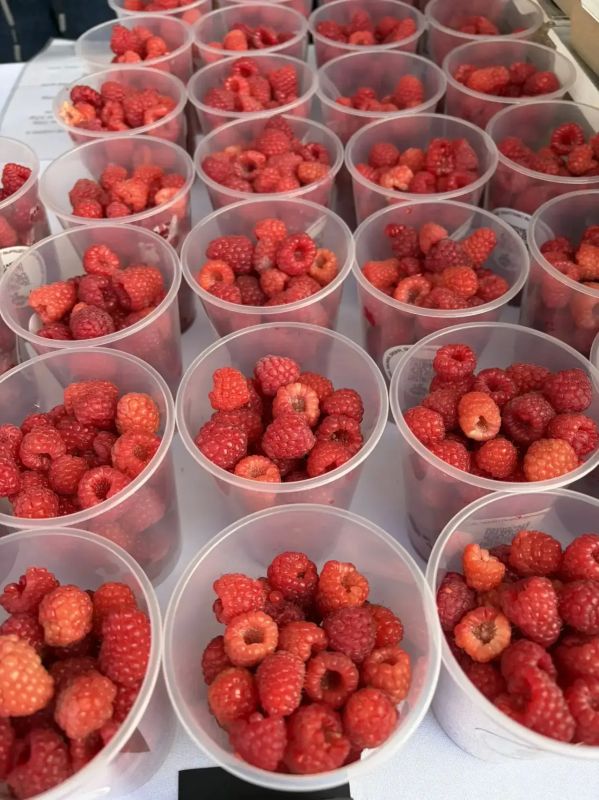 Ммммммм, какая вкуснота и красота сегодня на ул. Ленина в Липецке. Там в самом разгаре «Ярмарка на Дворянской» Ммммммм, какая вкуснота и красота сегодня на ул. Ленина в Липецке. Там в самом разгаре «Ярмарка на Дворянской»