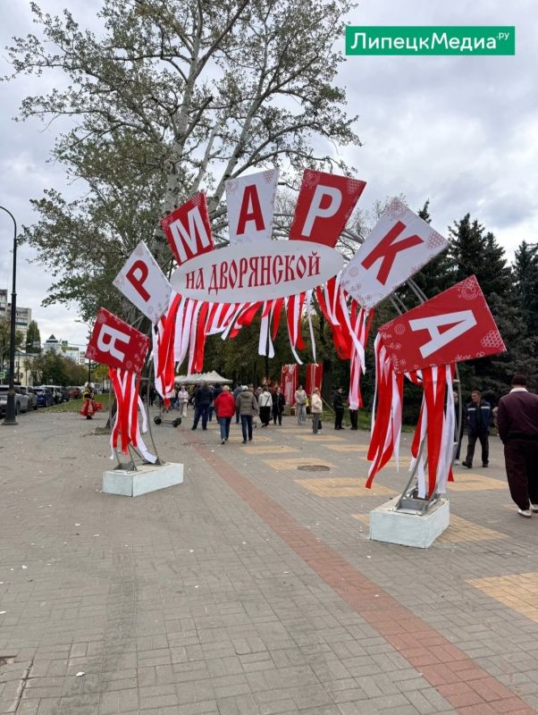 Липчане выбирают лучший яблочный «Наполеон» Липчане выбирают лучший яблочный «Наполеон»