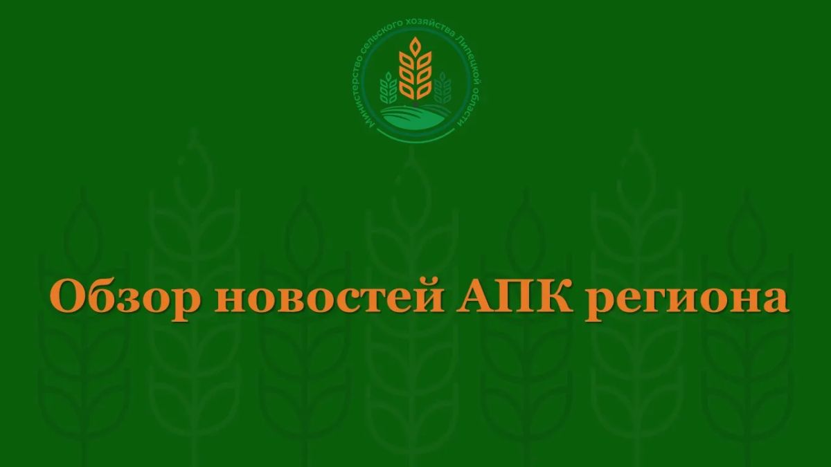 Обзор новостей АПК региона с 28 сентября - 4 октября