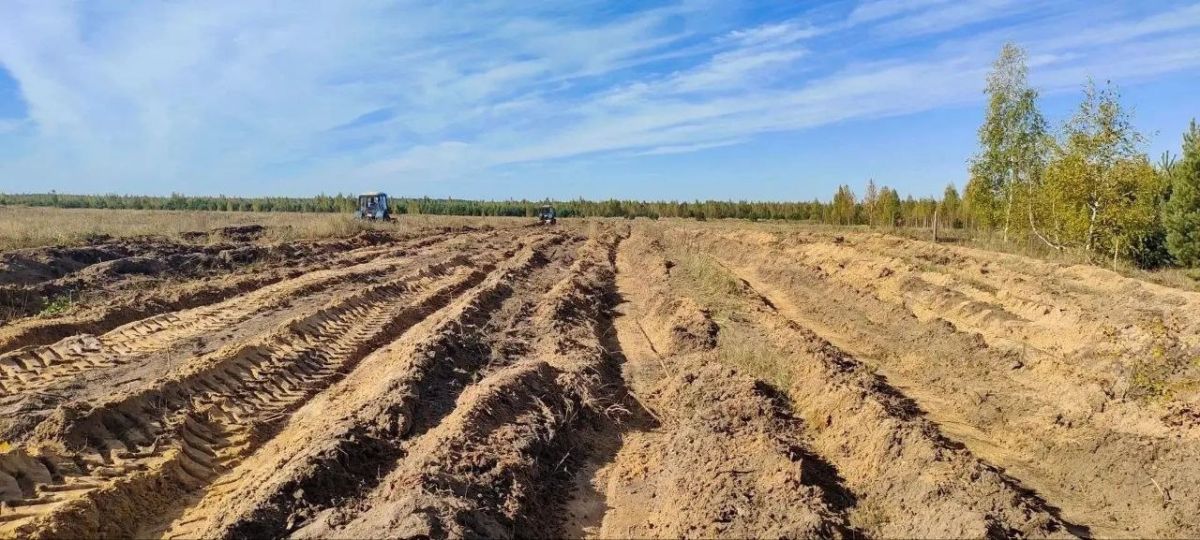 Фотосинтезировать на максималках будет особенный лес в Добровском округе