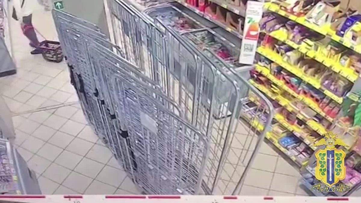 В Липецке сотрудниками полиции задержан местный житель, подозреваемый в серии краж и грабеже из сетевых магазинов