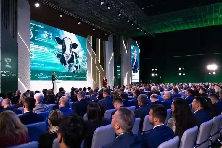 Министр сельского хозяйства Липецкой области Екатерина Маркова принимает участие в работе выставки «Золотая осень-2026» Министр сельского хозяйства Липецкой области Екатерина Маркова принимает участие в работе выставки «Золотая осень-2026»