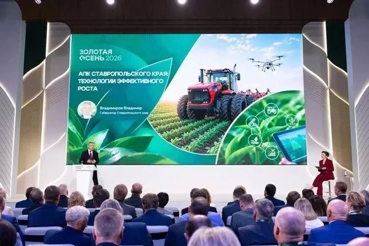 Министр сельского хозяйства Липецкой области Екатерина Маркова принимает участие в работе выставки «Золотая осень-2026» Министр сельского хозяйства Липецкой области Екатерина Маркова принимает участие в работе выставки «Золотая осень-2026»