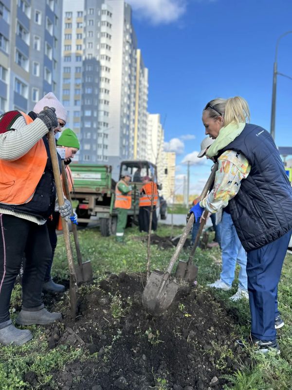 Сотрудники «Зеленхоза» вместе с региональным министерством экологии и бизнесом сегодня высадили 55 молодых лип на улице Василия Саунина в микрорайоне Взлётный Сотрудники «Зеленхоза» вместе с региональным министерством экологии и бизнесом сегодня высадили 55 молодых лип на улице Василия Саунина в микрорайоне Взлётный