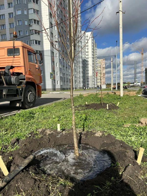 Космический Липецк обрастает липами