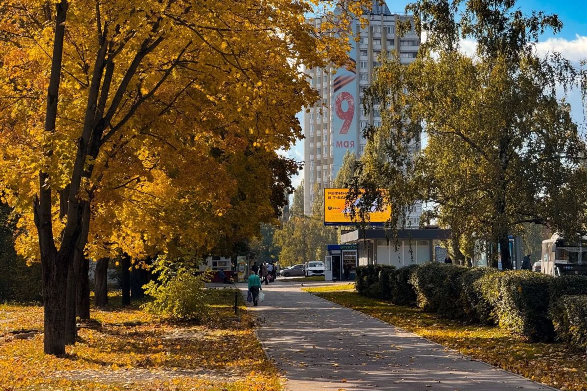 Золотая осень сделала Липецк очень уютным Золотая осень сделала Липецк очень уютным