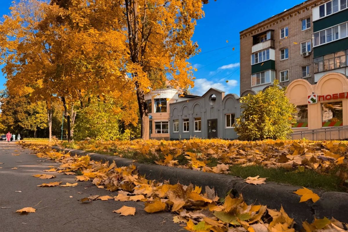 Золотая осень сделала Липецк очень уютным