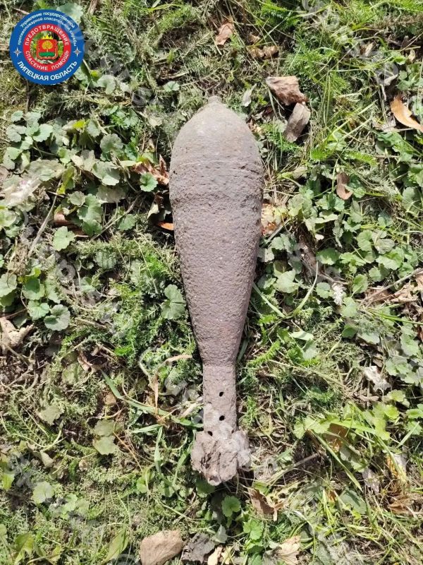 Боеприпас времён Великой Отечественной нашли в Тербунском округе