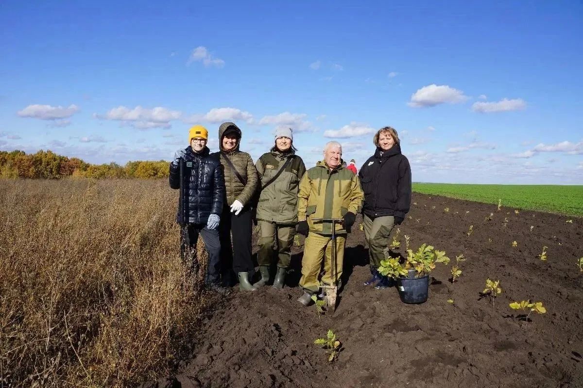 Липецкие экологи посадили гектар дубов на Куликовом поле