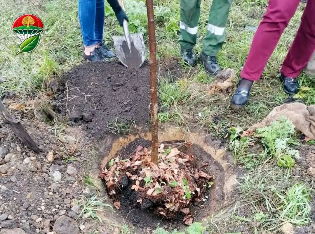 Экодесант в действии