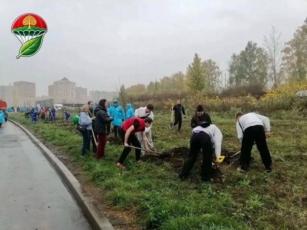Экодесант в действии Экодесант в действии