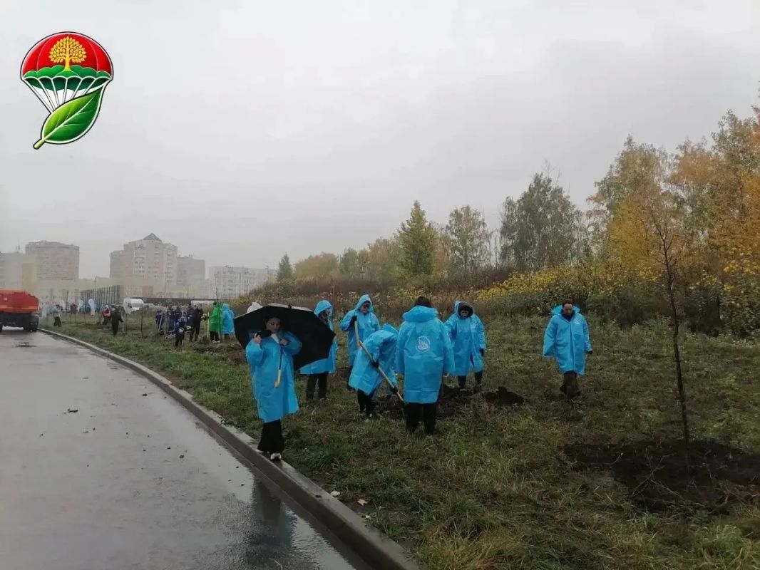 Экодесант в действии Экодесант в действии