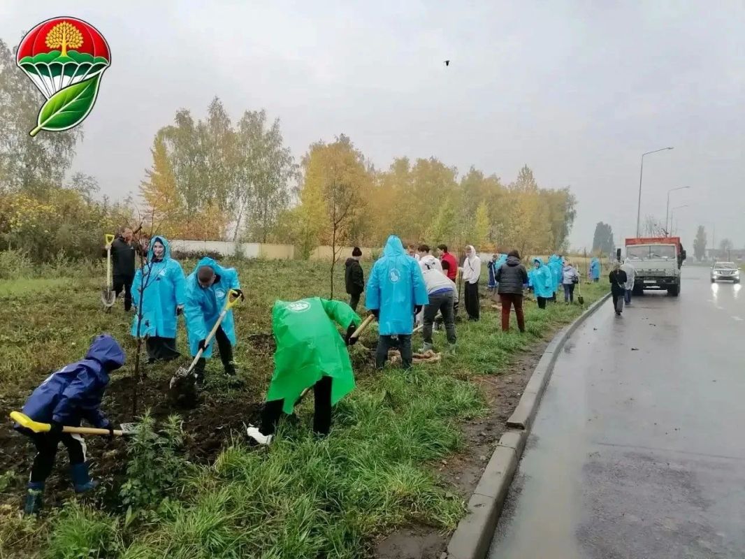 Экодесант в действии Экодесант в действии