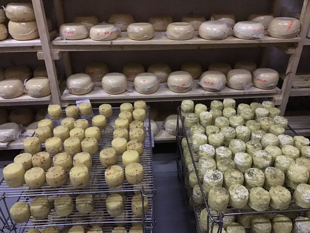 Больше молочных продуктов - вкусных и разных Больше молочных продуктов - вкусных и разных